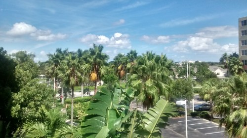 IMG_20151004_140535464_HDR