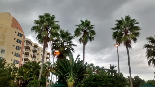 IMG_20151006_175100300_HDR