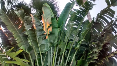 IMG_20151006_175216460_HDR